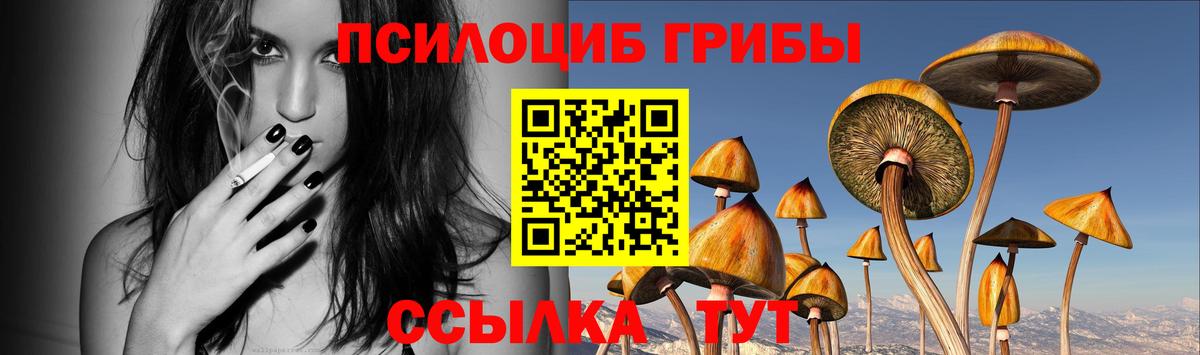 Псилоцибиновые грибы Magic Shrooms  Вход с VPN  Тамбов 